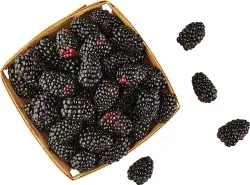 Produce Blackberries