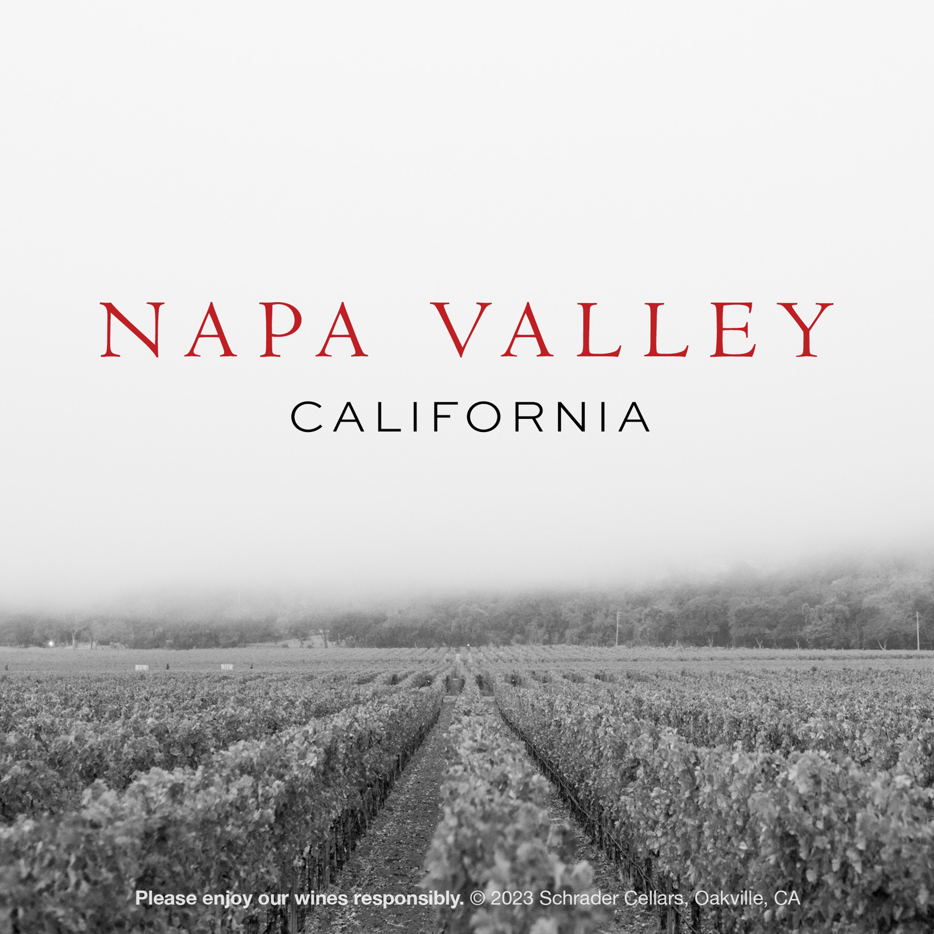 slide 7 of 7, Double Diamond Proprietary Red Blend 2021 Napa Valley, Red Wine, 750ml Bottle, 25.35 fl. oz