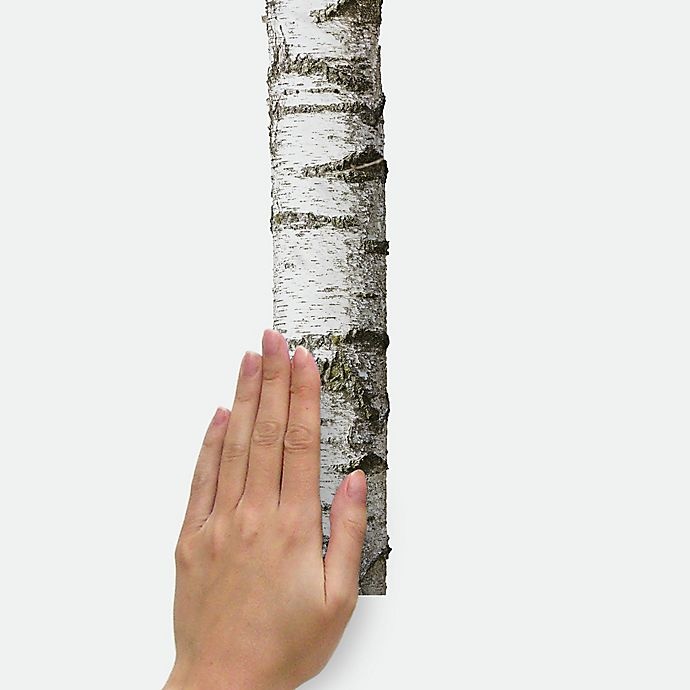 slide 5 of 6, RoomMates Birch Trees Peel and Stick Wall Decals, 1 ct