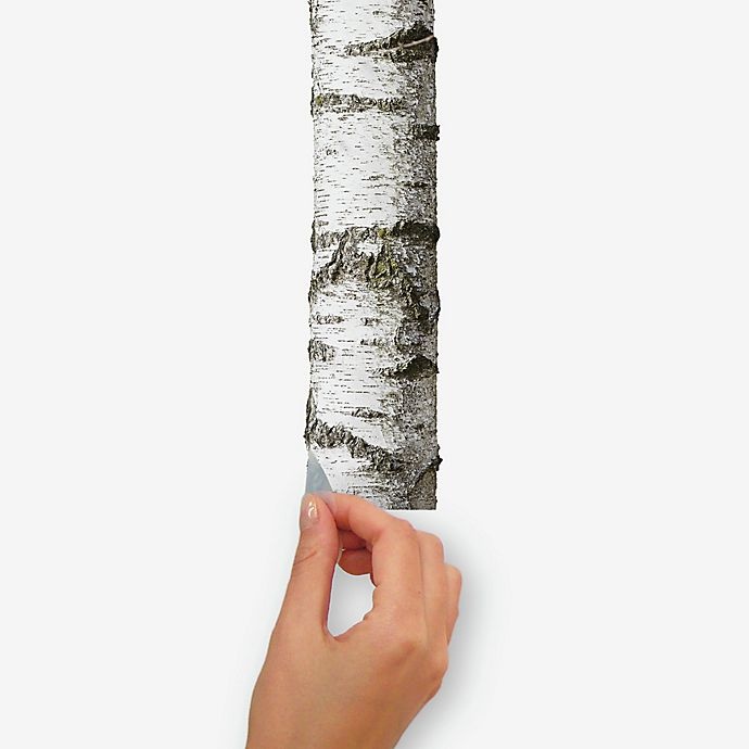 slide 6 of 6, RoomMates Birch Trees Peel and Stick Wall Decals, 1 ct