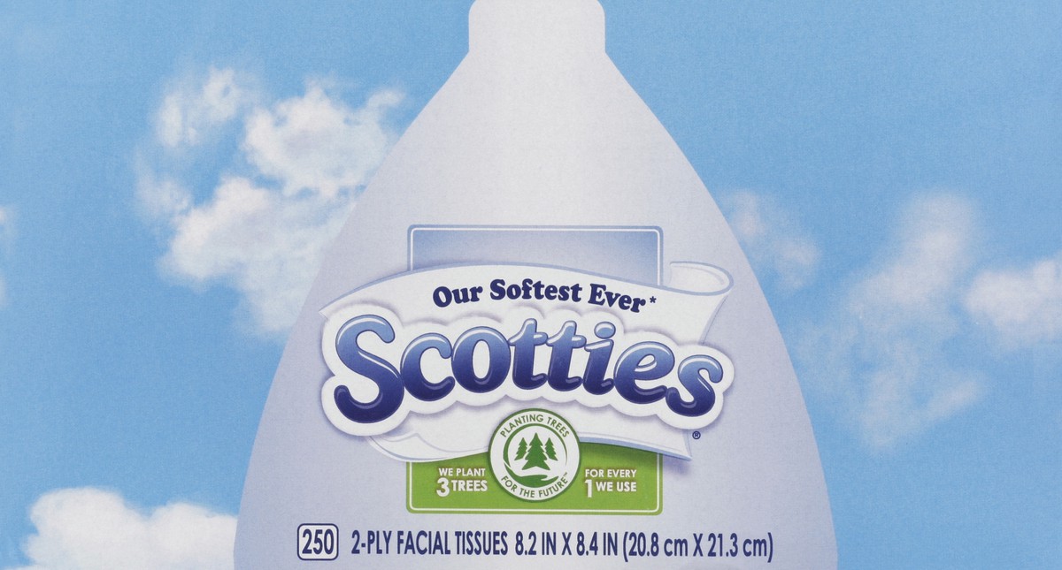 slide 2 of 6, Scotties Facial Tissue, 2-Ply, 250 ct