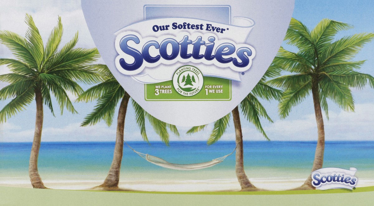 slide 5 of 6, Scotties Facial Tissue, 2-Ply, 250 ct