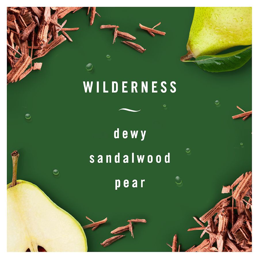 slide 4 of 4, Febreze Auto Odor-Eliminating Car Freshener Vent Clip, Wilderness, 2 ct; 0.07 oz