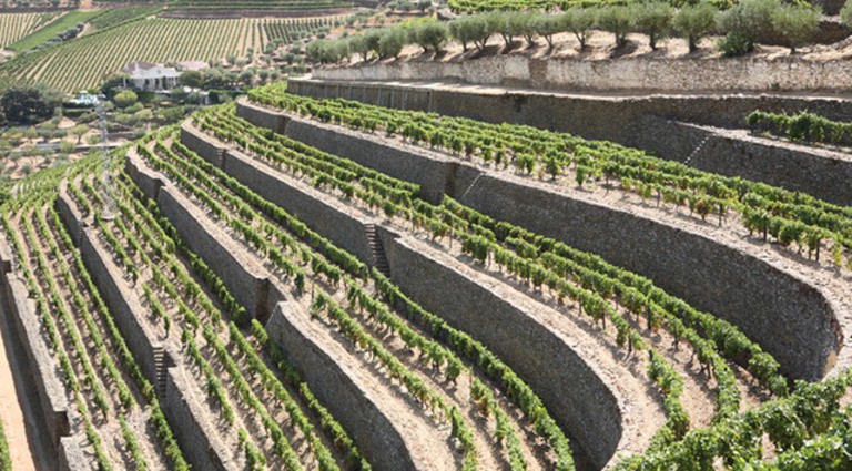 slide 3 of 6, Taylor Desserts Taylor Fladgate Fine Tawny Porto, 750 ml