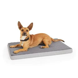 EveryYay Grey Cool Orthopedic Dog Crate Mat, 30" L X 19" W X 2" H