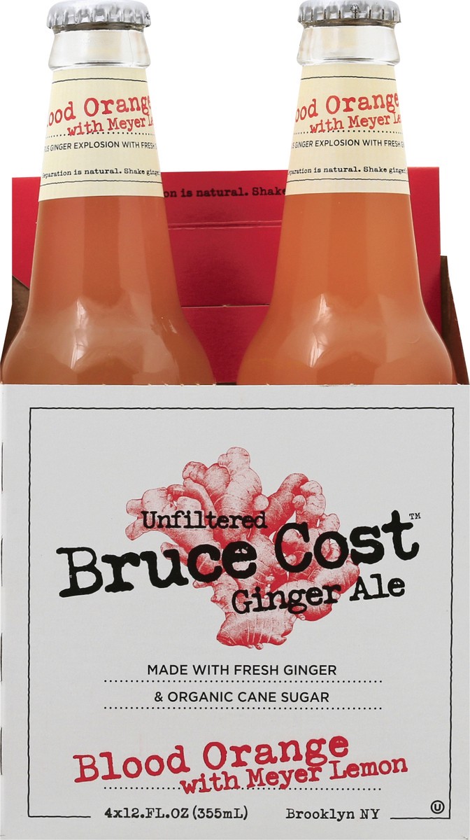 slide 6 of 11, Bruce Cost Blood Orange with Meyer Lemon Ginger Ale - 4 ct, 4 ct