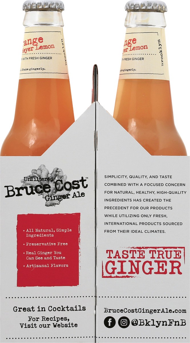 slide 5 of 11, Bruce Cost Blood Orange with Meyer Lemon Ginger Ale - 4 ct, 4 ct