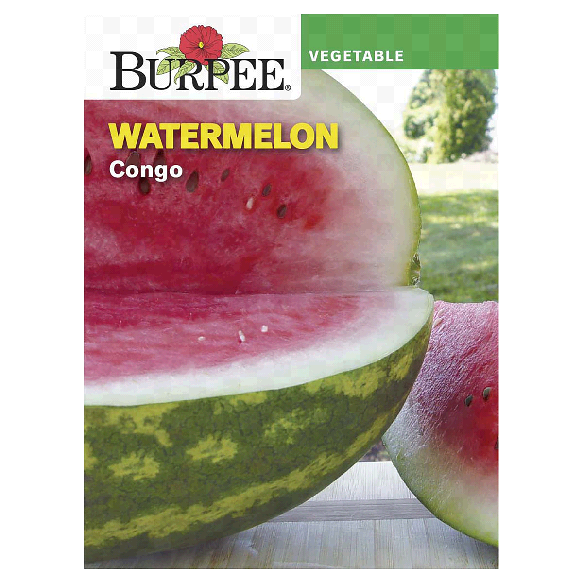 slide 1 of 1, Burpee Watermelon Congo Seeds, 1 ct