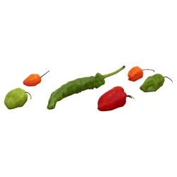 Peppers- Shishito Untiedt