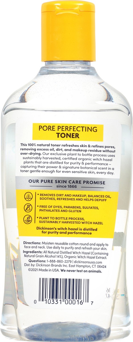 slide 5 of 12, Dickinson's Pore Perfecting Fragrance Free Toner 16 fl oz, 16 fl oz