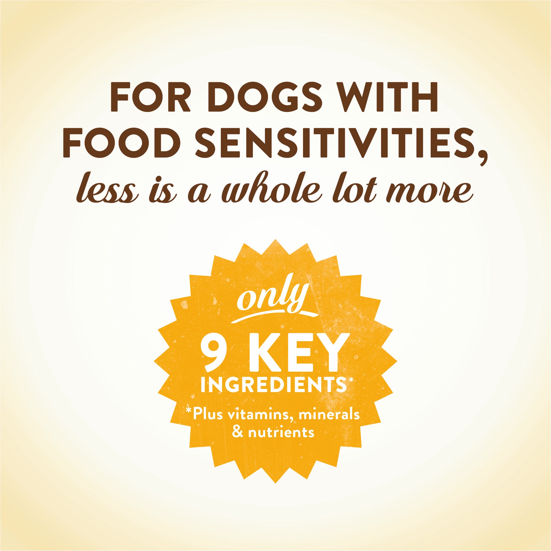 slide 7 of 8, Merrick Limited Ingredient Diet Premium And Natural Kibble With Healthy Grains, Salmon And Brown Rice Dog Food, 22 lb