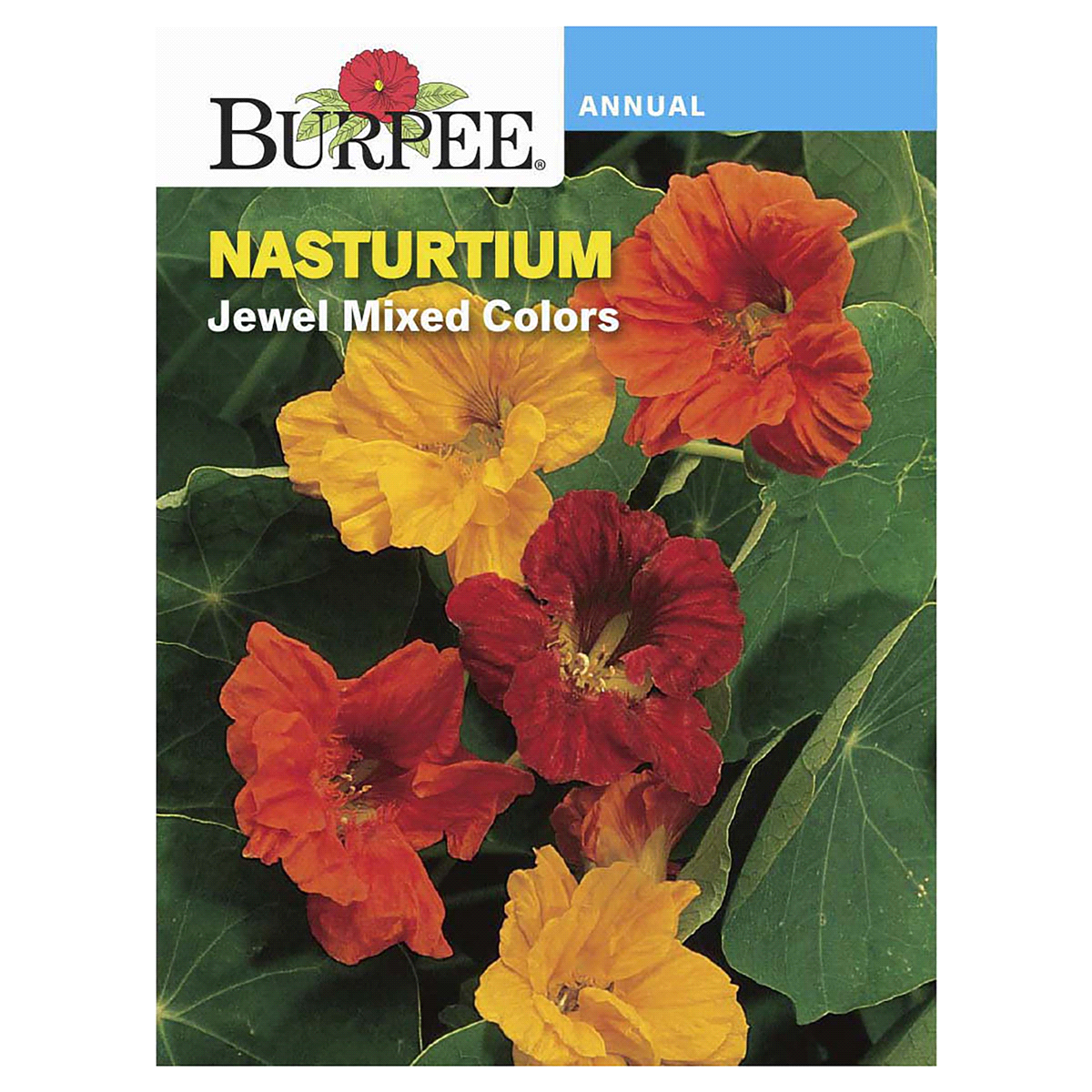 slide 1 of 5, Burpee Nasturtium Jewel Mix, 1 ct