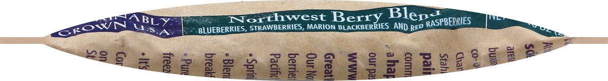 slide 8 of 10, Stahlbush Island Farms Northwest Berry Blend, 