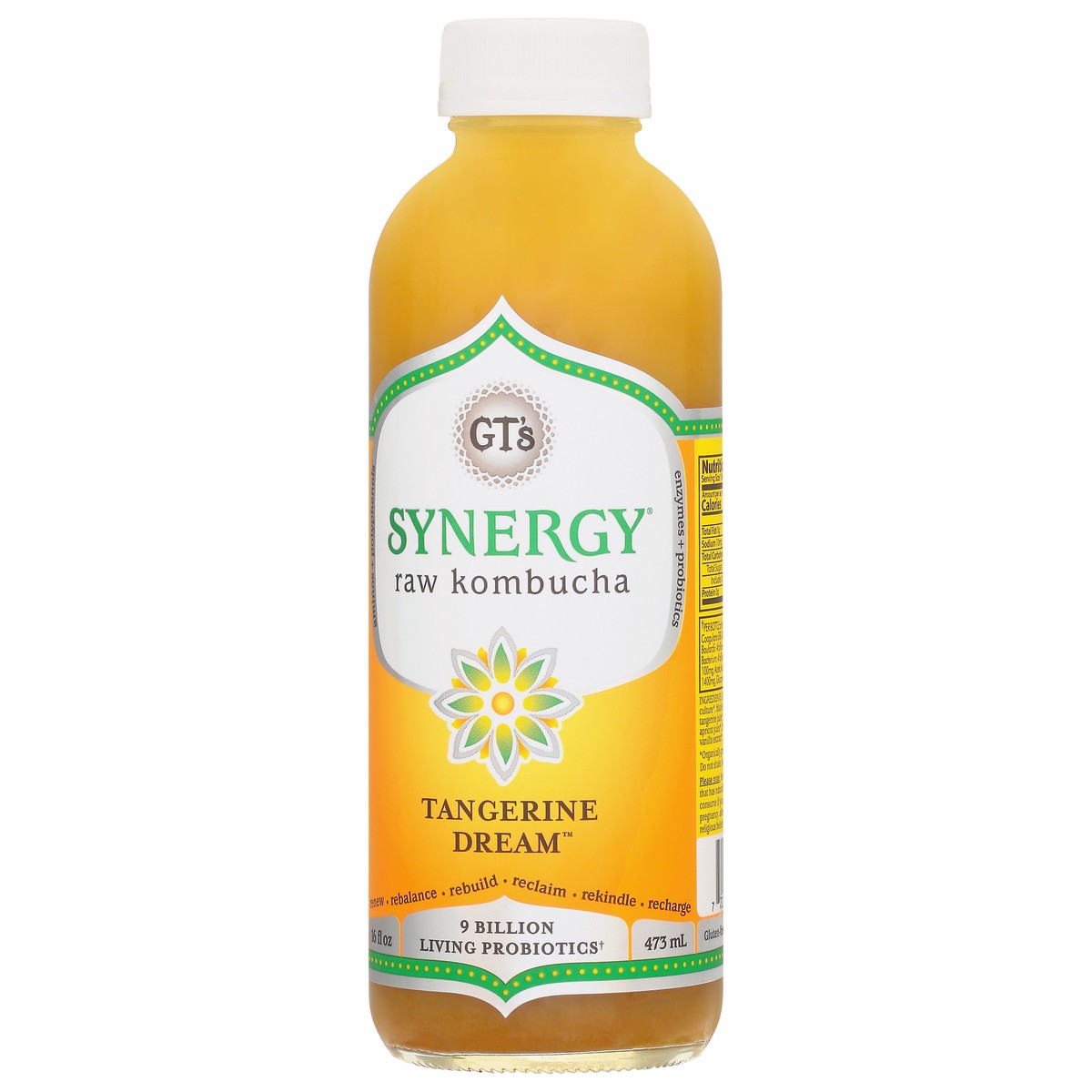 slide 9 of 14, GT's Raw Tangerine Dream Kombucha - 16 fl oz, 1 ct