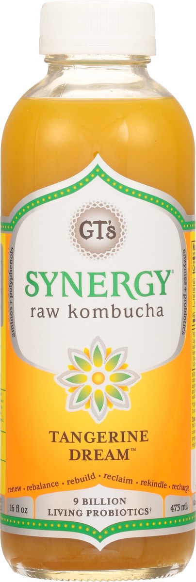 slide 10 of 14, GT's Raw Tangerine Dream Kombucha - 16 fl oz, 1 ct