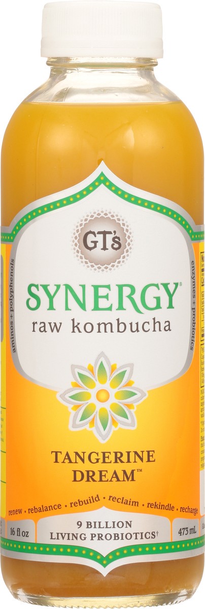 slide 3 of 14, GT's Raw Tangerine Dream Kombucha - 16 fl oz, 1 ct