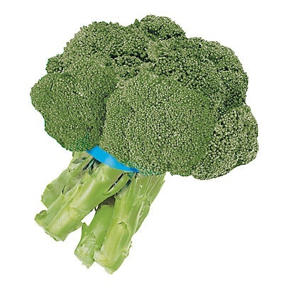 slide 1 of 1, Broccoli, 1 bunch