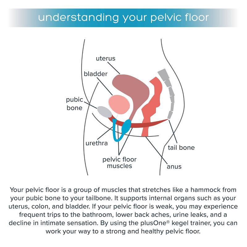 slide 5 of 7, plusOne Kegel Trainer 1 ea, 1 ct