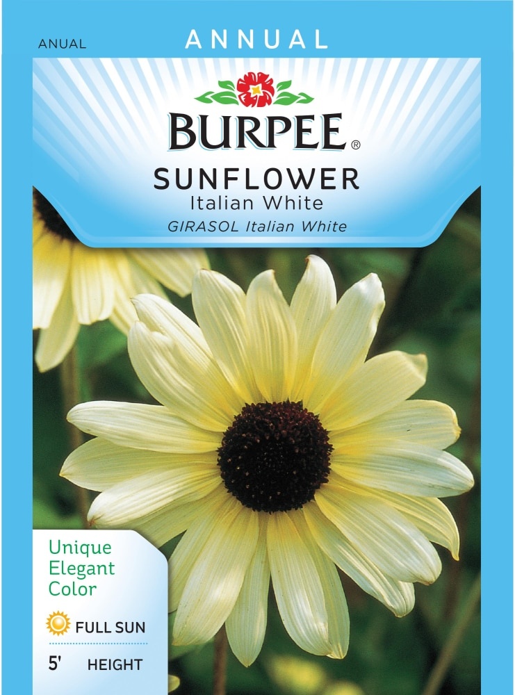 slide 1 of 1, Burpee Italian White Sunflower Seeds, 1 ct