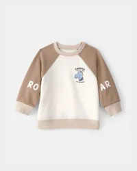 Carter's Baby Boy Dinosaur French Terry Pullover Sweatshirt - Brown/Ivory Multi 12M