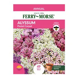 Ferry Morse Alyssum, Pastel Carpet