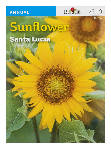 slide 1 of 1, Burpee Sunflower Santa Lucia Seeds Pre-Priced, 1 ct