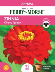 Zinnia Cherry Queen Flowers