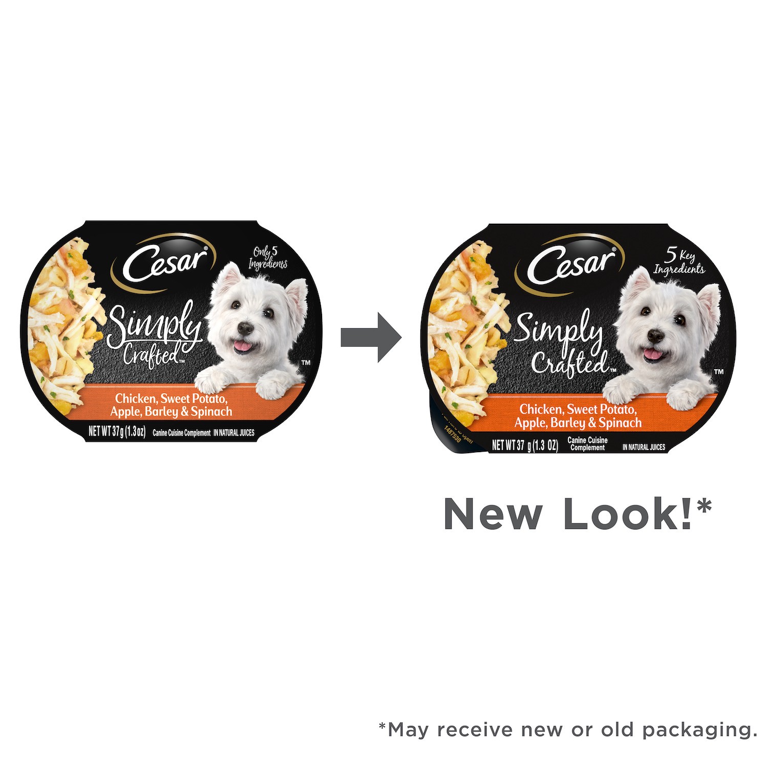 Simply cesar dog outlet food