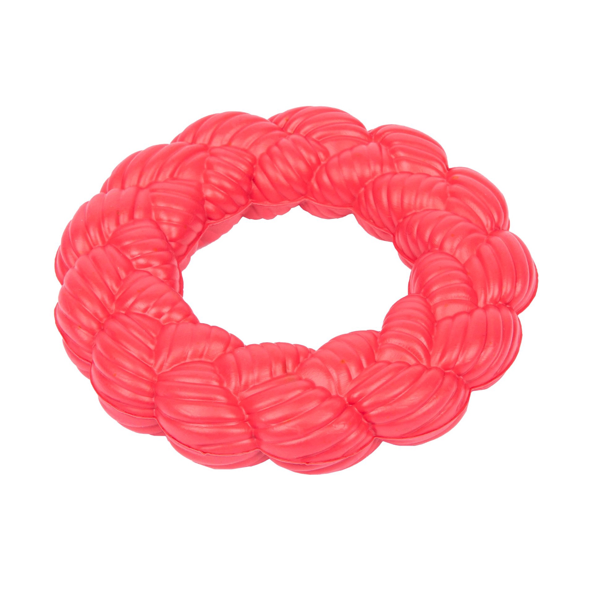 slide 1 of 1, Woof and Whiskers Rubber Ring Dog Toy, 1 ct