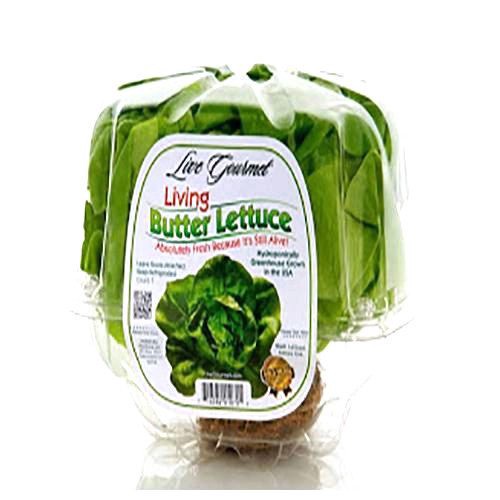 slide 1 of 1, Hydro Ponic Green Lettuce, per lb
