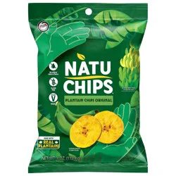NatuChips Snacks Plantain Original Chips 4 Oz