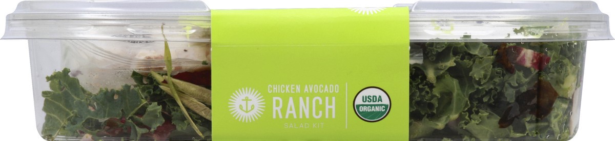 slide 3 of 6, Tessemae's Organic Chicken Avocado Ranch Salad Kit, 6.2 oz