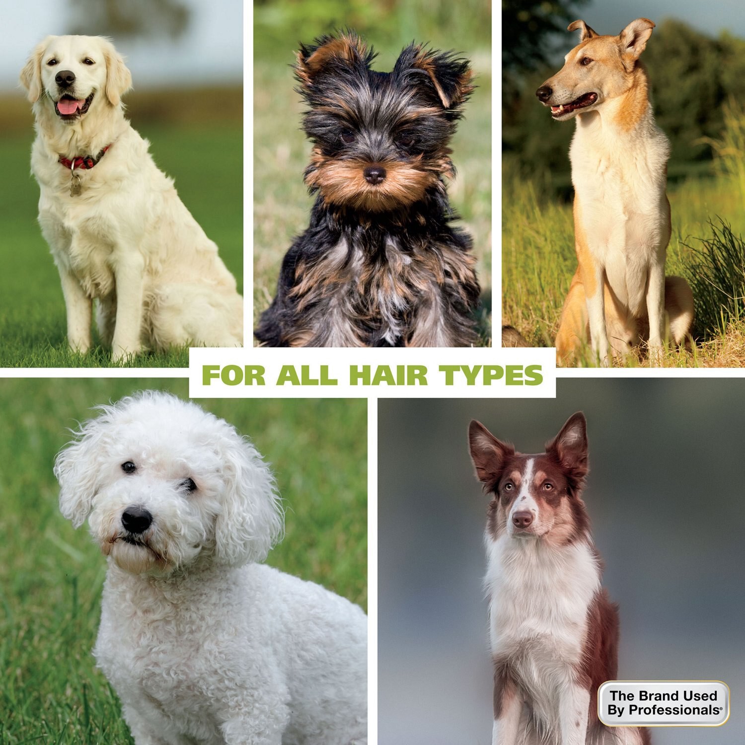 slide 2 of 10, Wahl Refresh Massive Pet Grooming Wipes, Coconut Lime Verbena Scent, 3 Pk (12 Wipes Per Pack), 12 ct