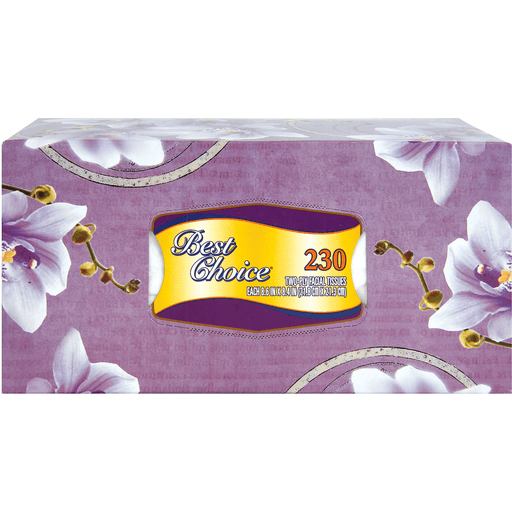 slide 1 of 1, Best Choice Facial Tissue, 210 ct