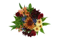 Bloom Haus Autumn Moon Bouquet