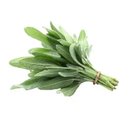 Organic Sage