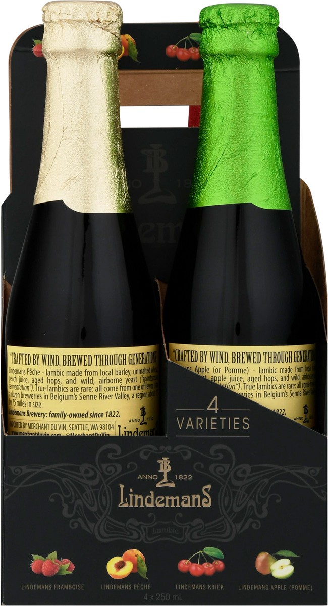 slide 5 of 9, Lindeman's 4 Varieties Beer 4 Bottles 250 ml Bottle 4 ea, 4 ct