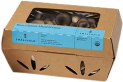 Smallhold Blue Oyster Mushroom - 8 oz