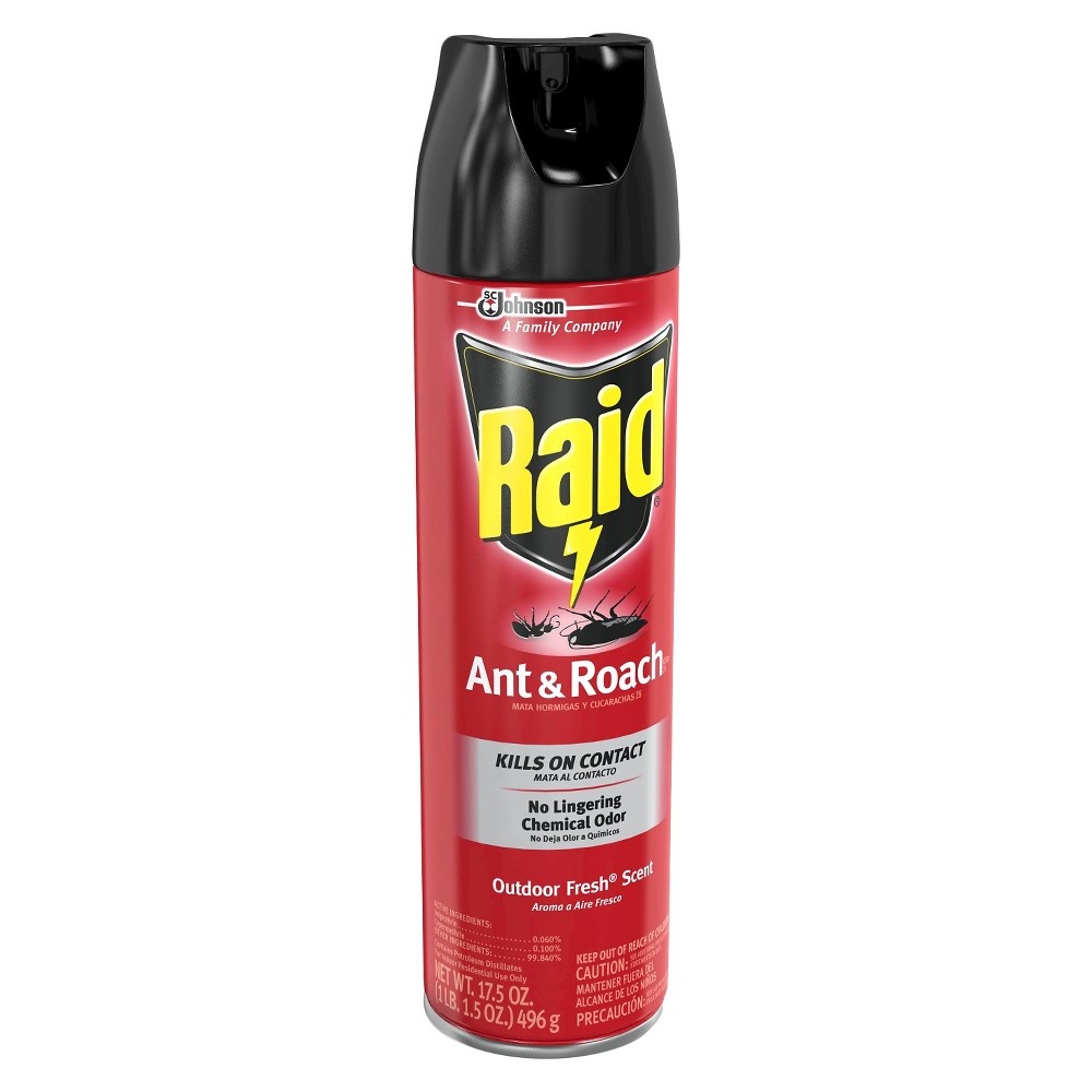 slide 5 of 6, Raid Ant & Roach 26, Aerosol Bug Spray Kills on Contact, Outdoor Fresh Scent, 17.5 oz, 17.5 oz