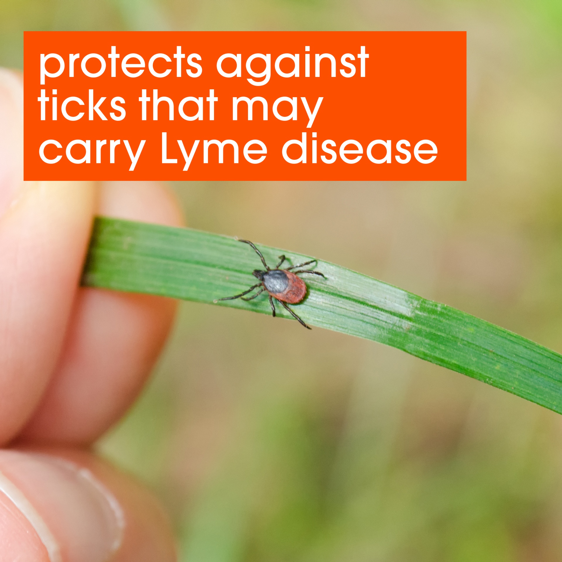 slide 3 of 7, Off Inspect Repellent II 6 oz, 6 oz