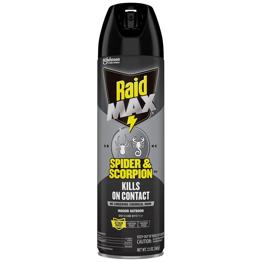 slide 3 of 5, Raid Max Indoor - Outdoor Spider & Scorpion Killer 12 oz, 12 oz