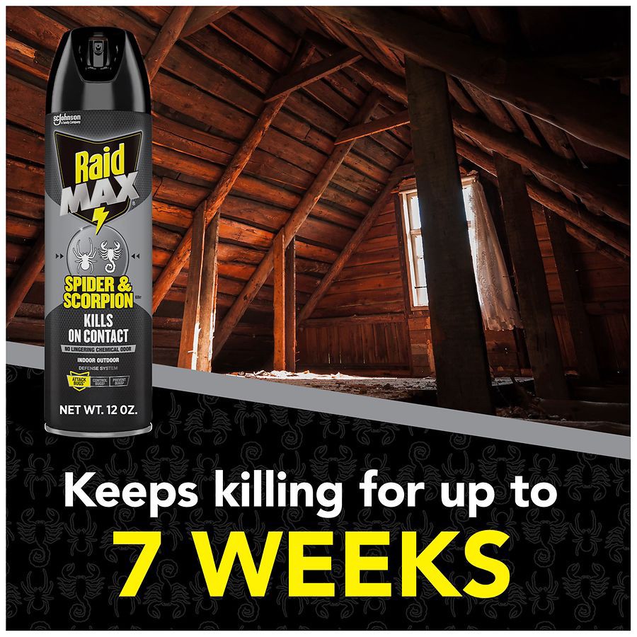 slide 2 of 5, Raid Max Indoor - Outdoor Spider & Scorpion Killer 12 oz, 12 oz