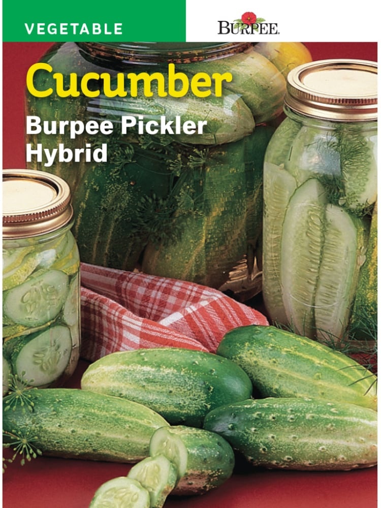 slide 1 of 1, Burpee Pickler Hybrid Cucumber Seeds - Green, 1 ct