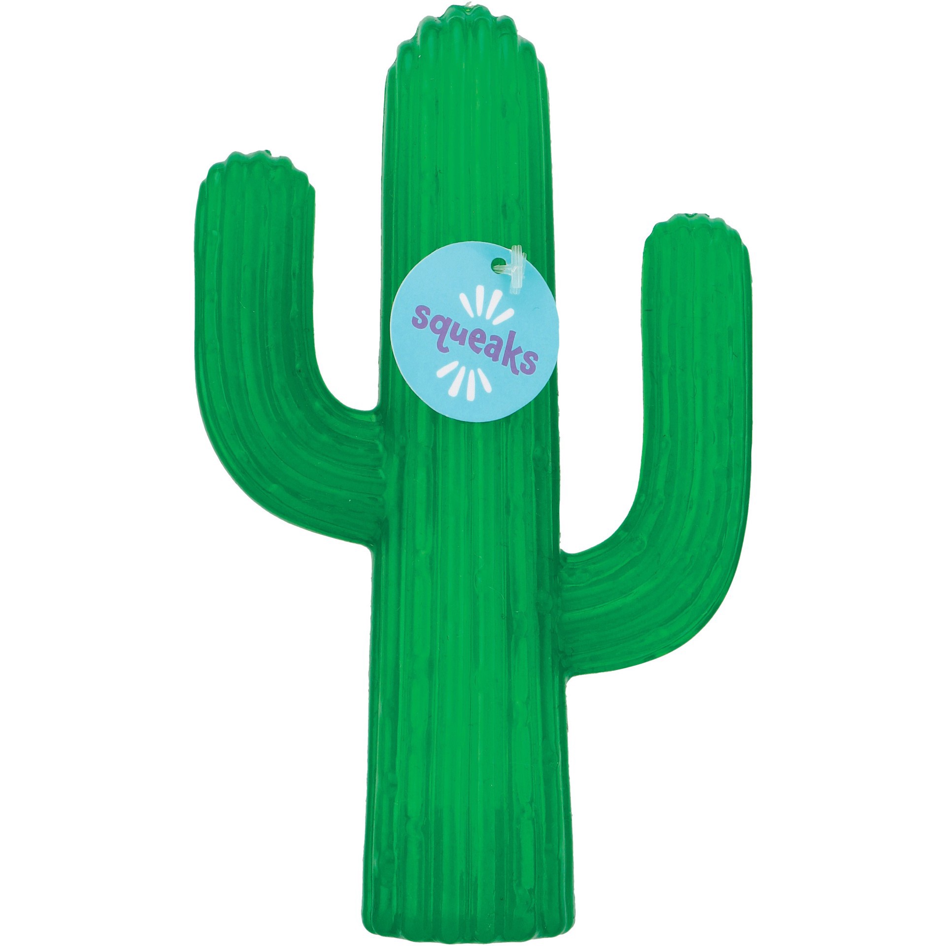 slide 1 of 1, Woof and Whiskers Cactus With Squeaker Dog Toy, 1 ct