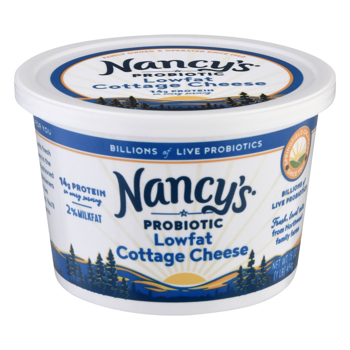 slide 1 of 9, Nancy's Probiotic Lowfat 2% Milkfat Cottage Cheese 16 oz, 16 oz