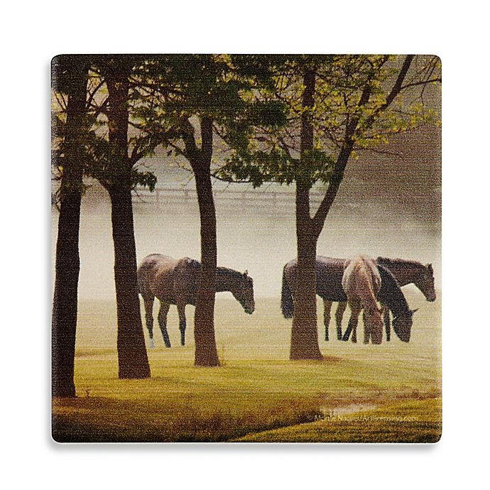 slide 1 of 1, Thirstystone Dolomite Kentucky Horses - the Mist Single Round Coaster, 1 ct