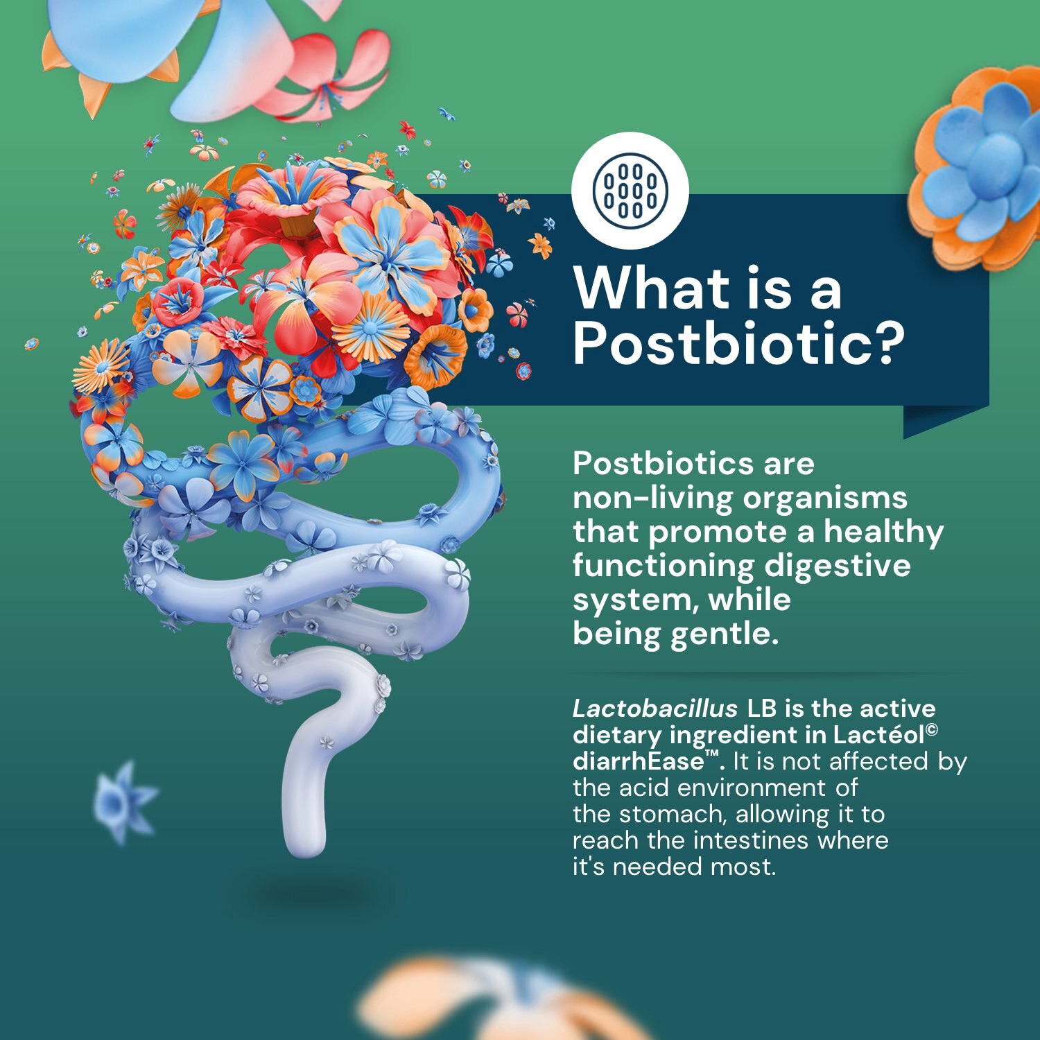 slide 2 of 7, Ihealth Lacteol Diarrhease Adult, 10 Ct, 10 ct