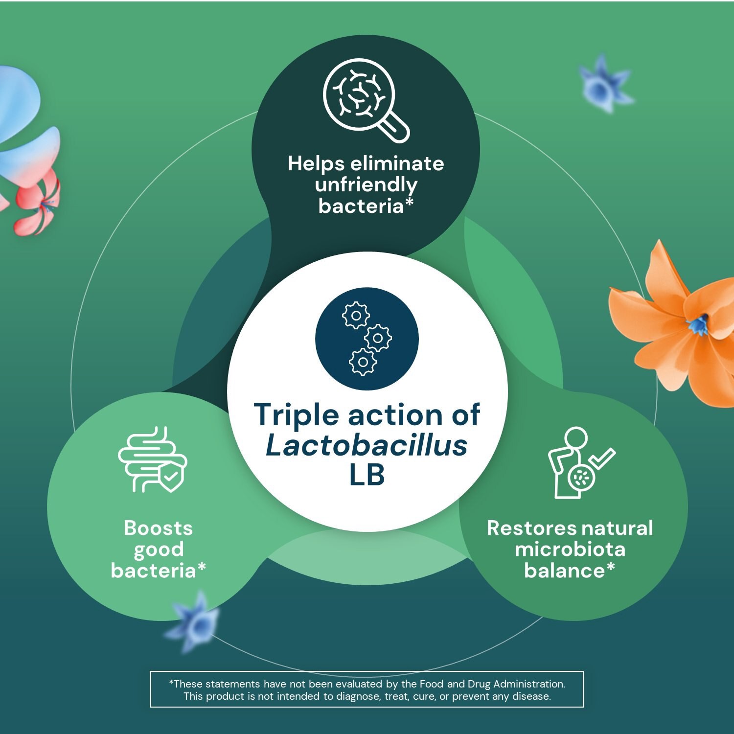 slide 7 of 7, Ihealth Lacteol Diarrhease Adult, 10 Ct, 10 ct
