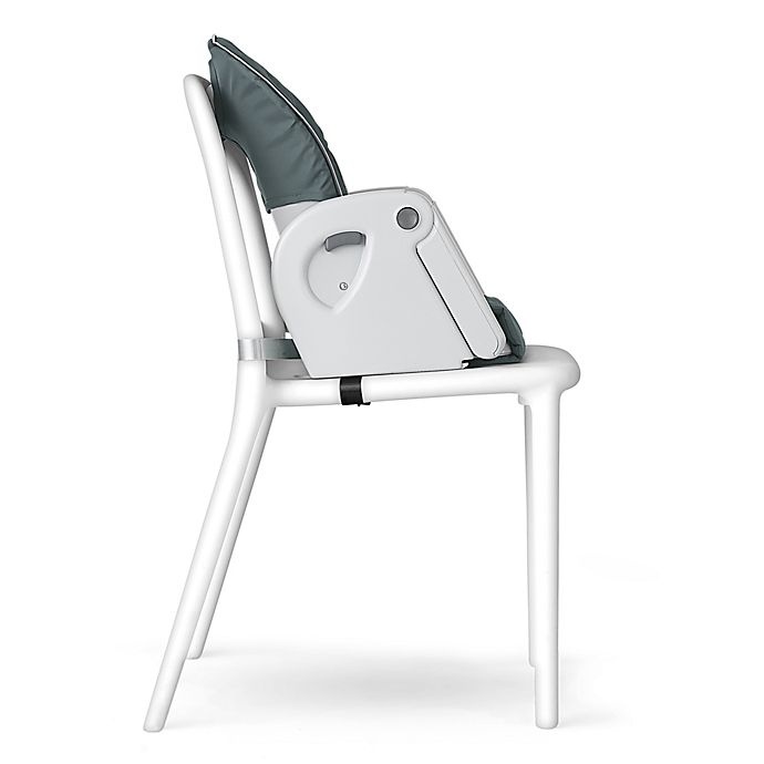 slide 5 of 7, Chicco Polly Progress 5-in-1 Multi-Chair - Mineral, 1 ct