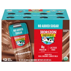 Horizon Organic Lactose Free Lowfat Chocolate Milk - 12 pk